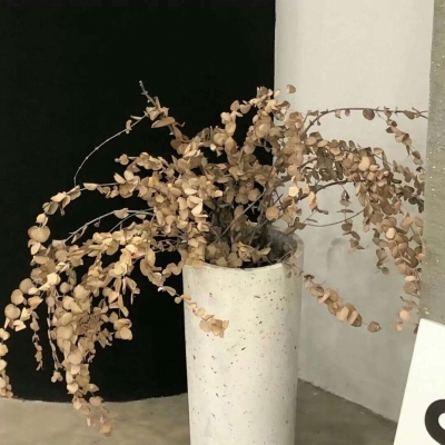 邯郸福瑞交流群